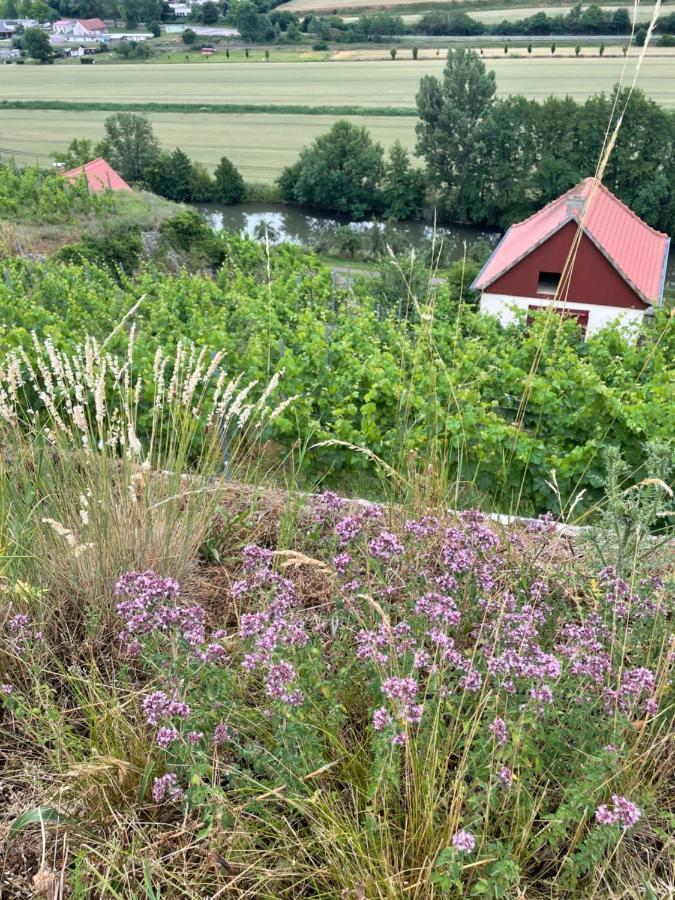 Ferienhaus Traminer Im Weinberg Freyburg Exterior foto